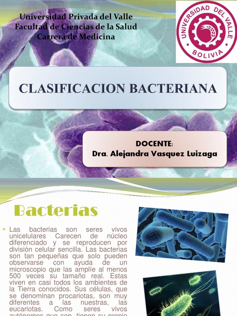 2 Clasificacion de Bacterias | PDF | Las bacterias | Metabolismo