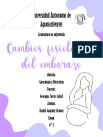 Cambios Fisiológicos Del Embarazo