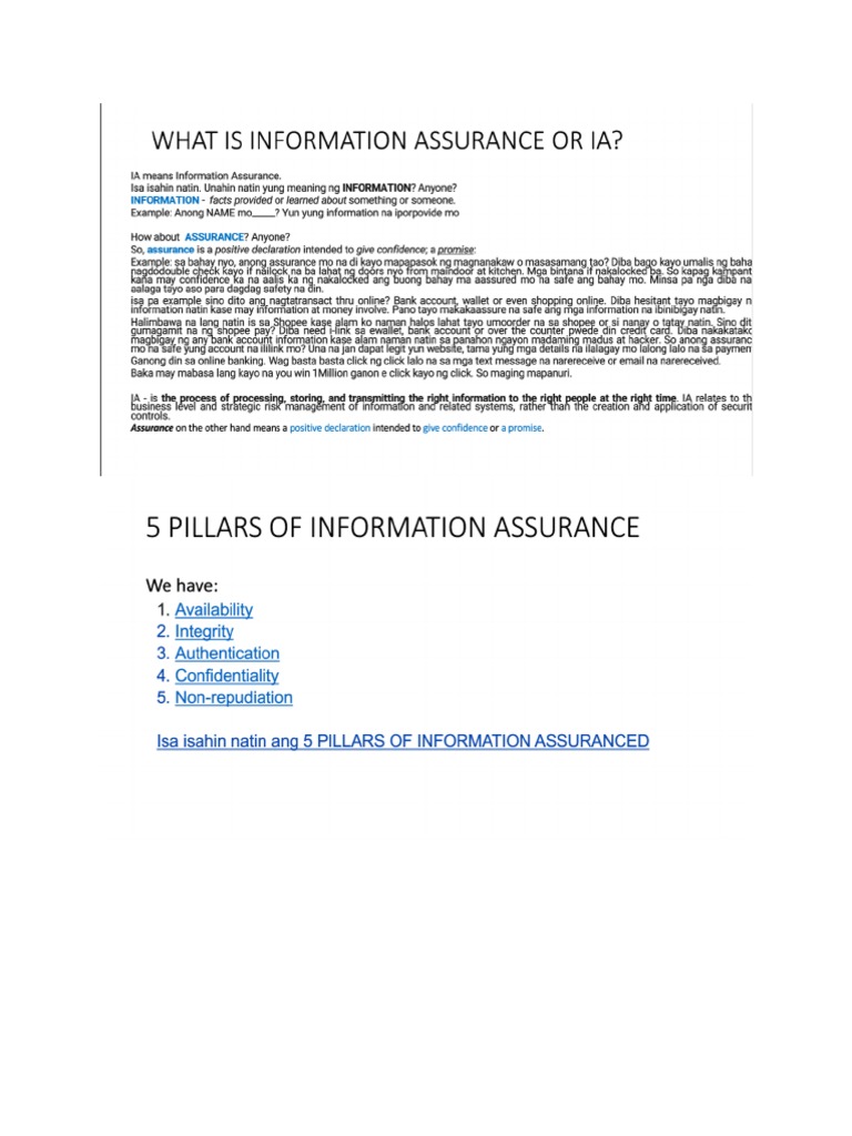 Information Assurance | PDF