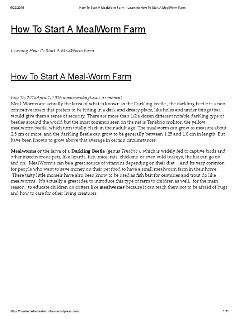 How To Start A Mealworm Farm Learning How To Start A Mealworm Farm