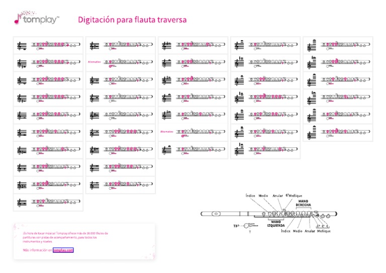 Flute | PDF