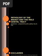 Download Pathology of the Breast and Male Genital Tract by 2012 SN6200258 doc pdf