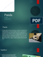 Giant Panda Habitat and Diet