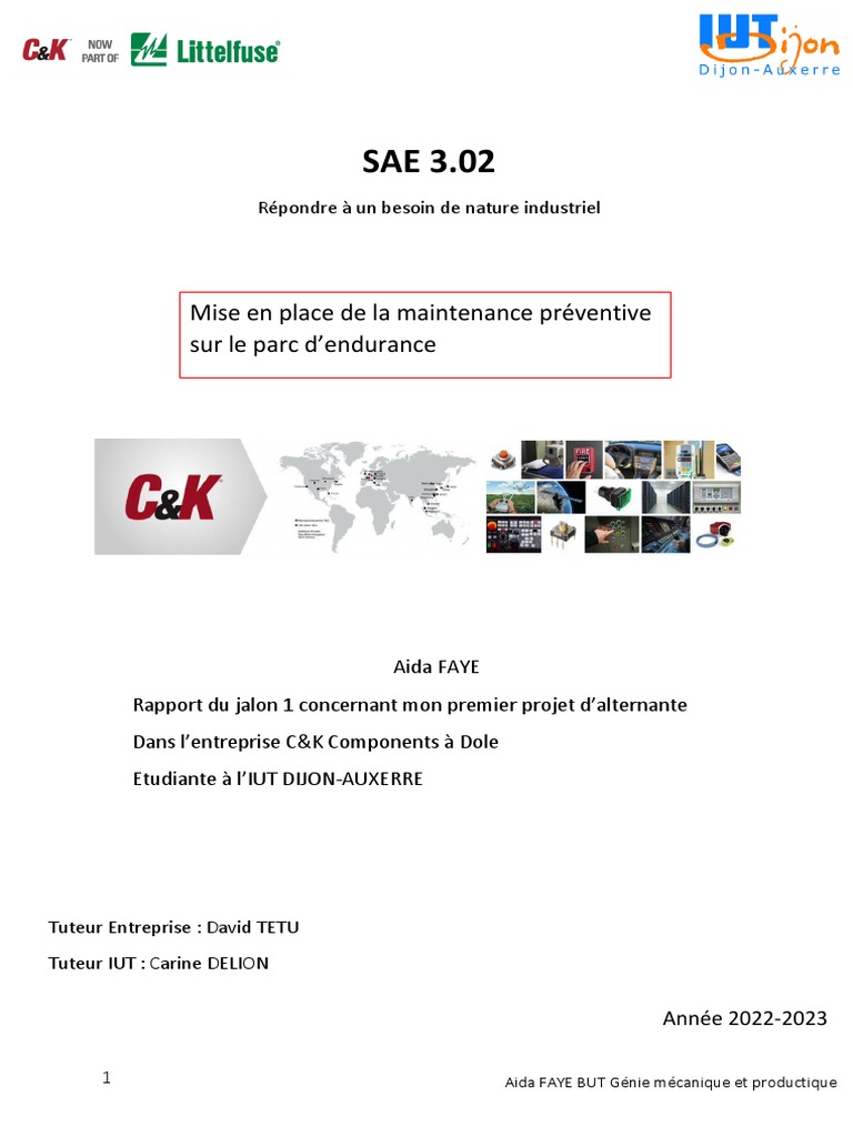 Rapport Rida Exemple _ La méthode AIDA, explication et exemples – DXQS