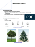 2ª aula - noções de identificação da madeira