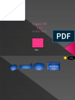 Figaro Os 1.0 Public Beta