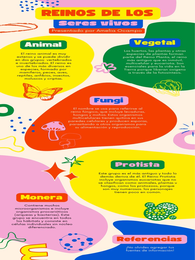 infografia-informativa-reino-de-seres-vivos-llamativa-colorida