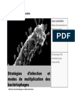 5) Cours 6 Multiplication Des Bactériophagesl3