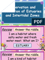 Conservation and Protection of Estuaries and Intertidal Zones