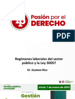 Regímenes Laborales Del Sector Público y La Ley 30057 PDF Gratis