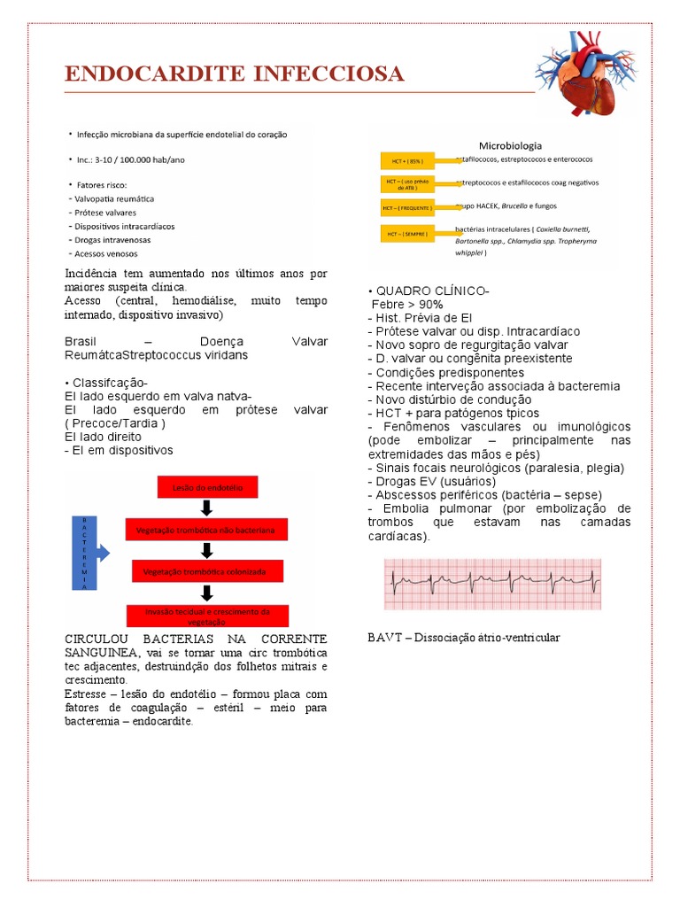 Cardio Endocardite | PDF | Medicina Clínica | Doenças e distúrbios