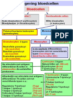 Bloedcellen (Namen en Verdeling) (TLSC-IMM3V-13), 2017-2018