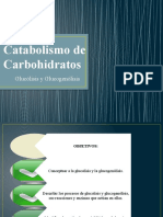 Catabolismo de Carbohidratos 3146-1