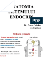 Sistemul Endocrin