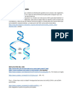 Copia de REPLICACIÓN DEL ADN