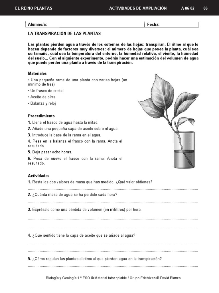 La Transpiración de Las Plantas PDF Agua Hoja