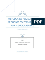 Metodos de Remedacion de Suelos Contaminados Por Hidrocarburos