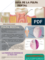 Histología de La Pulpa Dental