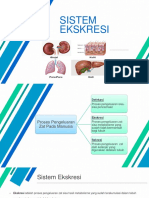 SISTEM EKSKRESI GINJAL