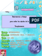 Monografia Enfermedad de La Toxoplasmosis - Fátima Ferreyra