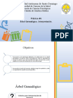 Practica 6 Interpretación de Árbol Genealógico