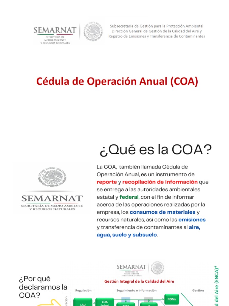 Definición y Función de la COA | PDF