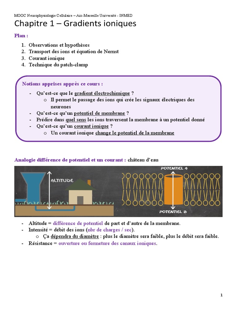 gradients-ioniques-en-neurophysiologie-pdf-membrane-cellulaire
