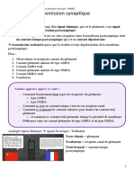 CH 4 - Transmission Synaptique Glutamatergique