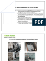 Lavado de Bandejas y Aplicación de Duplalim para Semilleros