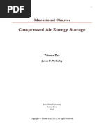 Compressed Air Energy Storage - Chapter - TRISHNA DAS