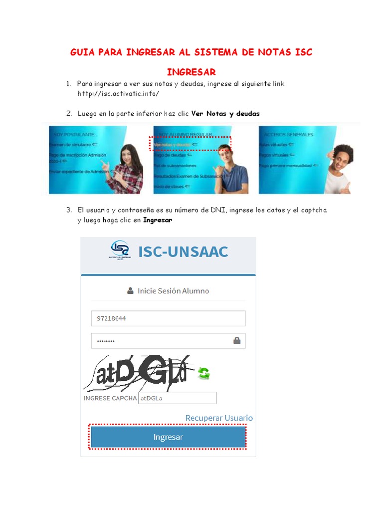 Manual ISC Consultas Notas | PDF