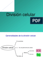 Division Celular