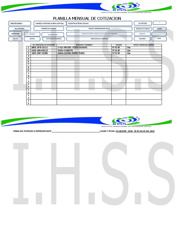 Formato Unicamente para Altas Ihss (3723) Conka Ihss Cambios PDF