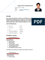 Curriculum Vitae Jonathan Burgos DB (BBB)