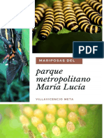 Libro Mariposas