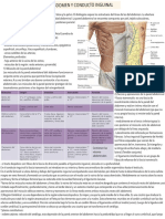 TP5 ABDOMEN I (Peritoneo)