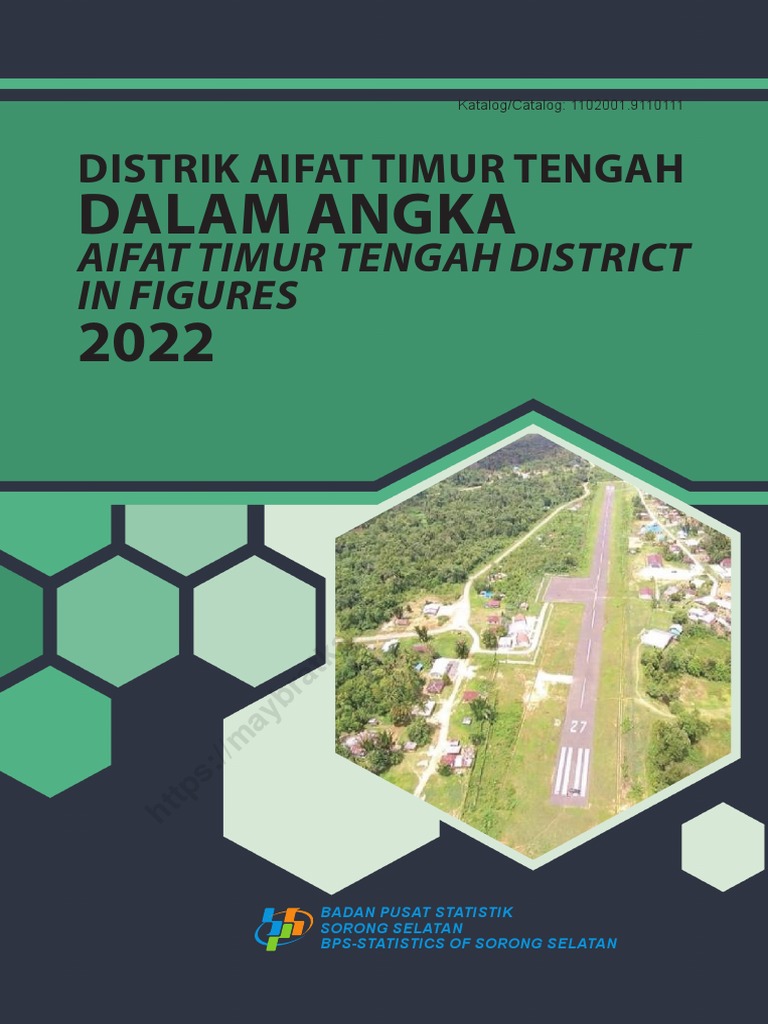 Distrik Aifat Timur Tengah Dalam Angka 2022  PDF