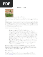 Download Rumput Teki by Rosediana Mbok Dian SN62016029 doc pdf