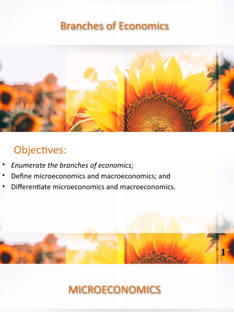 Branches Of Economics Defining Microeconomics And Macroeconomics Pdf