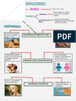 Analisis de Imagen