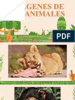 Presentación de Los Animales