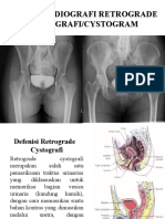 Teknik Radiografi Cystografi