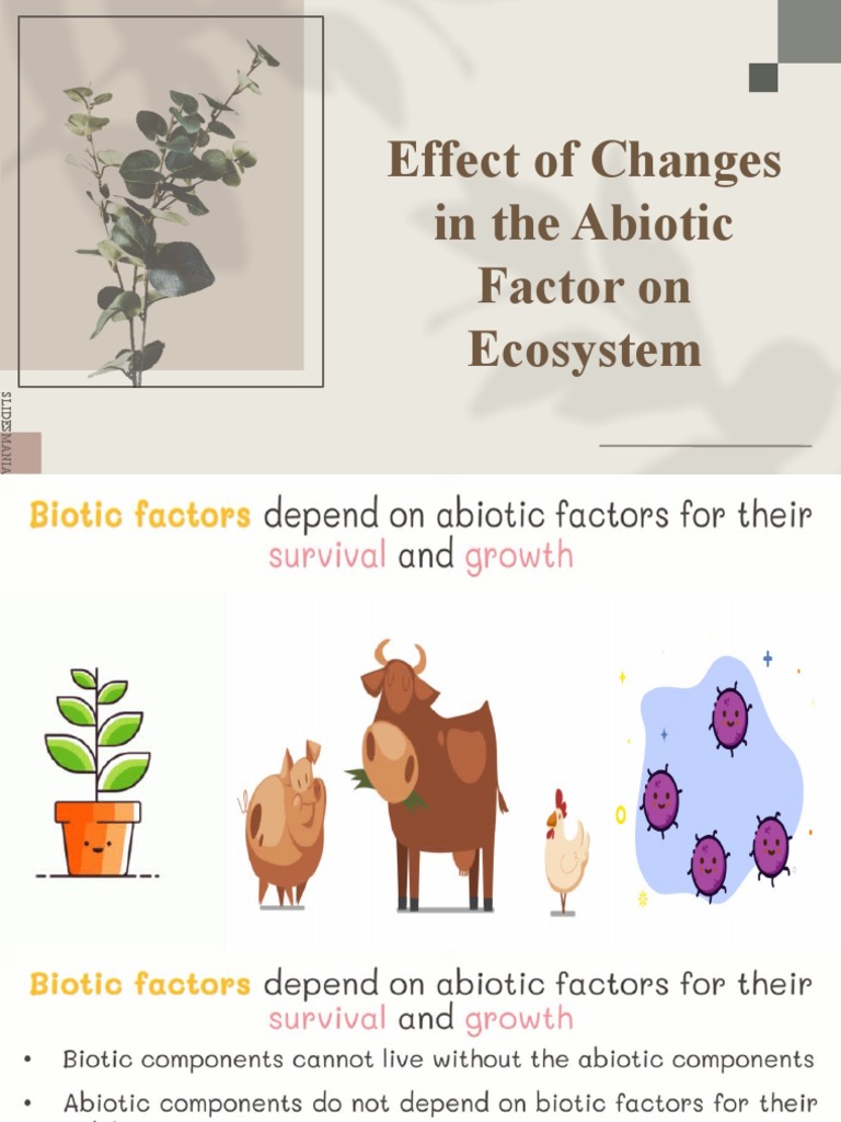 Impact Of Abiotic Factors On Ecosystems Pdf Plants Ecosystem 