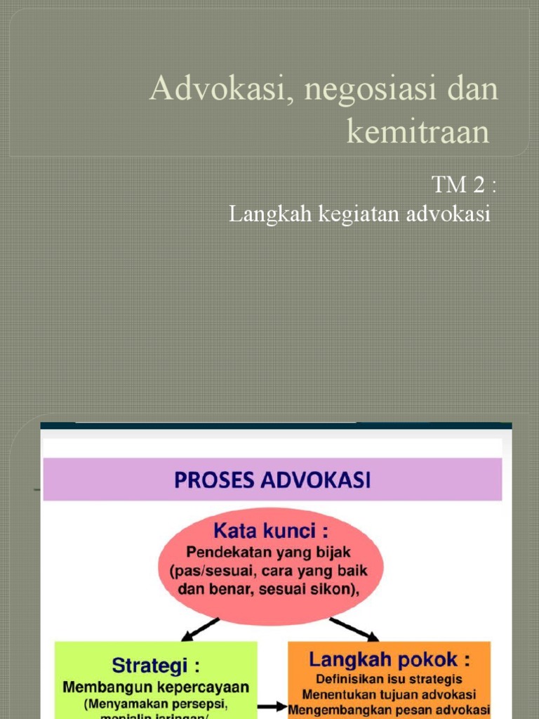 Langkah Kegiatan Advokasi | PDF