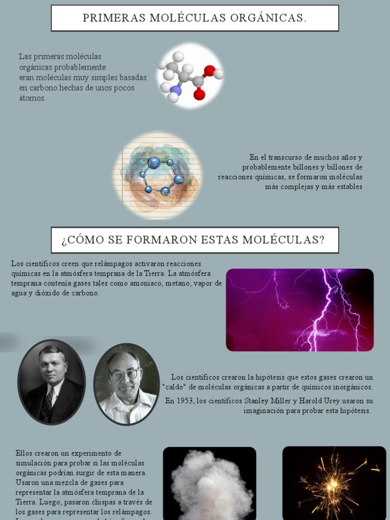 Primeras Moléculas Orgánicas | PDF | Rna | Moléculas