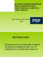 AE.B.te - Evaluacion de Cepas de Bradyrhizobium Sp. y Abonos o