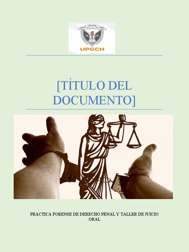 Etapa de Audiencia Inicial | PDF | Mandato | Justicia