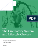 Circulatory System and Lifestyle - 0