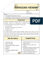 LKPD Jaringan Hewan 