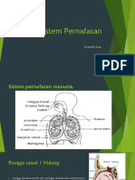 Sistem Pernafasan